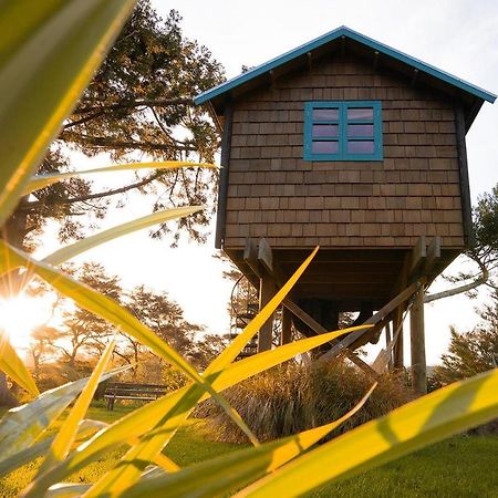Tui Ridge Eco Cabins Aongatete Экстерьер фото