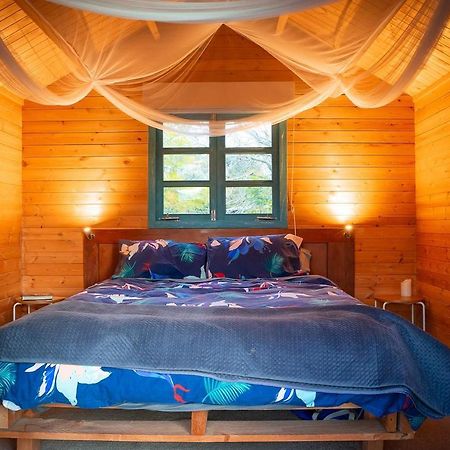Tui Ridge Eco Cabins Aongatete Экстерьер фото