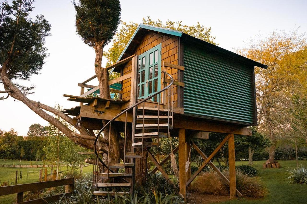 Tui Ridge Eco Cabins Aongatete Экстерьер фото