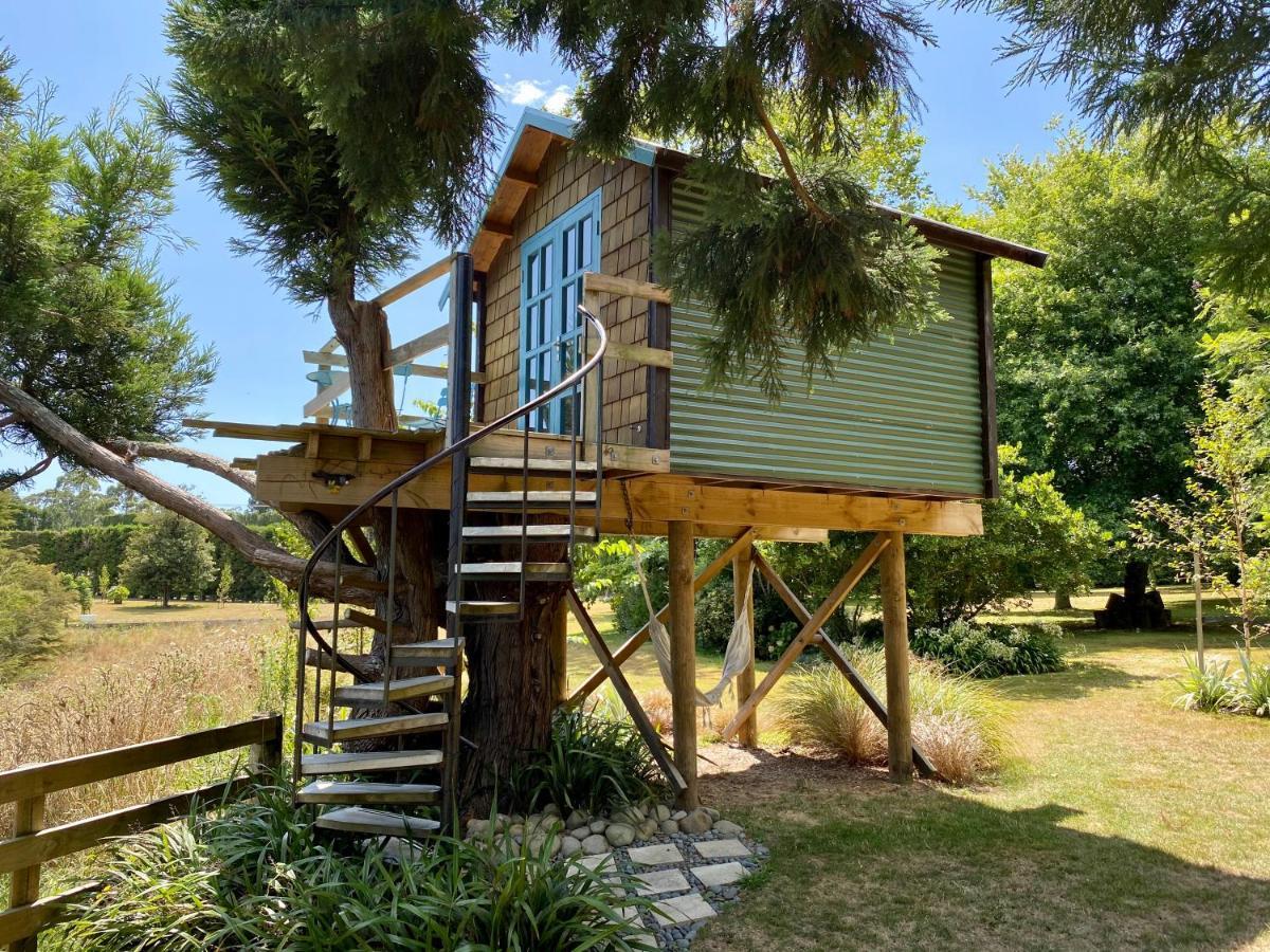 Tui Ridge Eco Cabins Aongatete Экстерьер фото