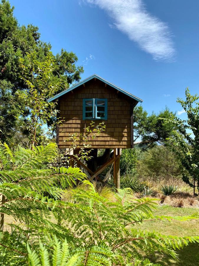 Tui Ridge Eco Cabins Aongatete Экстерьер фото